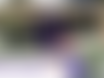 AFL Division 1: Wild Card Game AFC Vienna Vikings II vs. Fehervar Enthroners II abgesagt