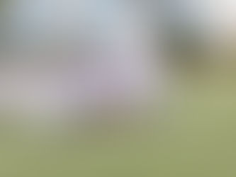 YOUNGvikings On Fire