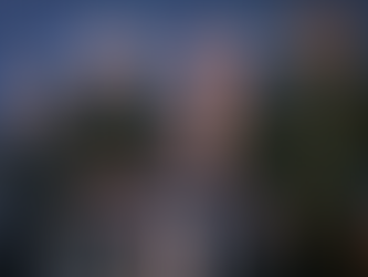 Österreichischer Football Bund wird Partner der New England Patriots