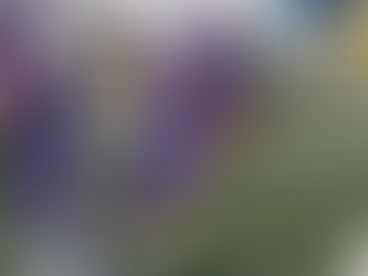 AFC Vienna Vikings: Dominanter 28:0 Heimsieg vs. Raiders