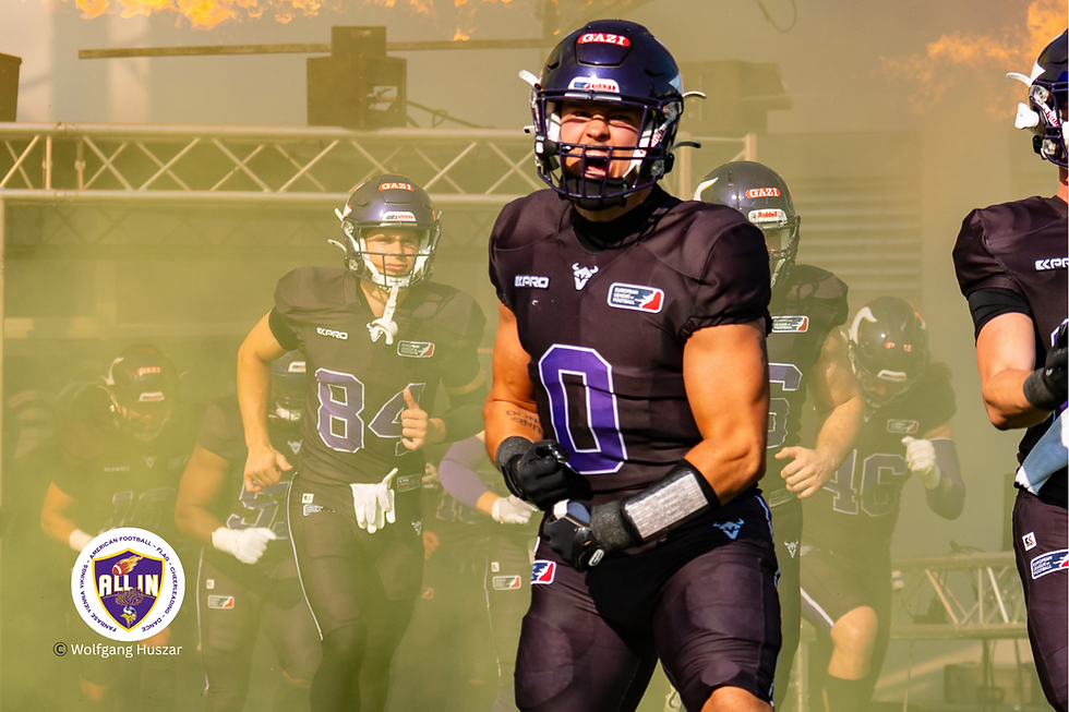 LB #0 Noel Swancar, Vienna Vikings