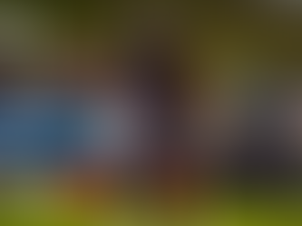 Vienna Vikings (AFLE) verlängern mit dem Defensiv Playmaker Amani Dennis