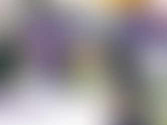 AFC Vienna Vikings: Homeopener 2026 vs. Salzburg Ducks