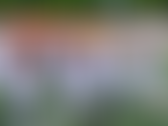 „Play Vikings-Football!“ – Wien strebt den Divisionstitel an