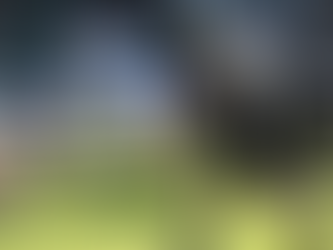 AFC Vienna Vikings sichern mit Sieg gegen Rangers Heimrecht im Wild Card Game