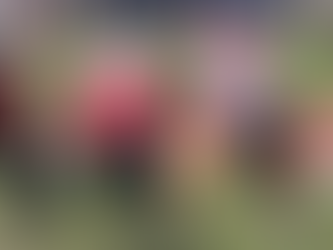 AFBÖ - Road to LA2028: Historisches Event vereinte Österreichs beste Flag- und Tackle-Nationalteamspieler