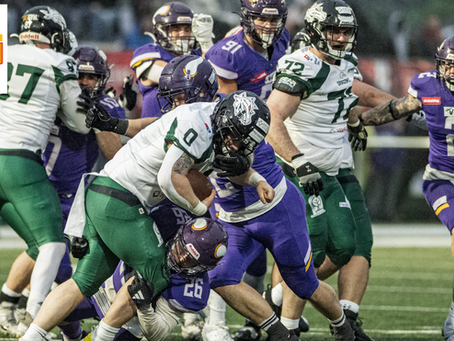 AFL26 - Week 10: Vikings in Wildcard Round auswärts gegen Knights, Giants daheim gegen Ducks