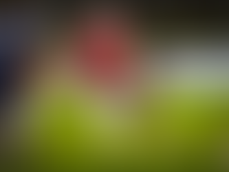 AFBÖ: Sandro Platzgummer beendet Tackle-Karriere und schielt Richtung LA28