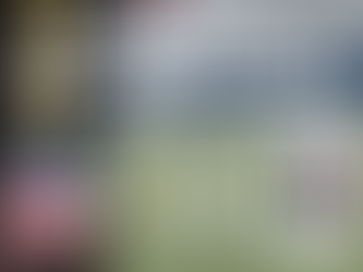 IFAF: Olympisches Qualifikationssystem für Flag Football bestätigt