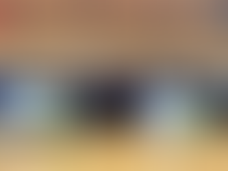 AFBÖ und NFL FLAG bilden Lehrkräfte in Österreich aus