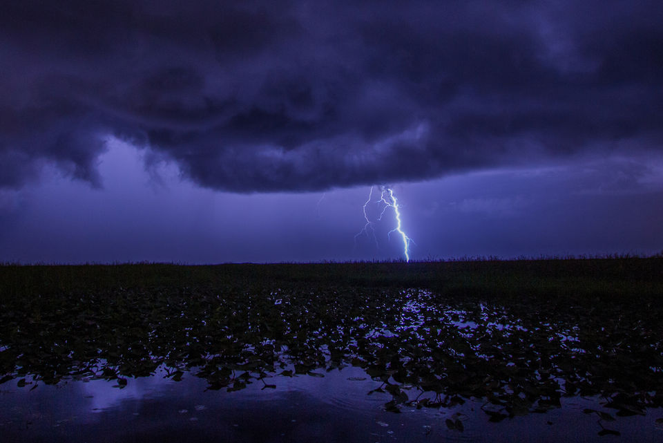 Lightning Over the Everglades at Night Photographed by Aaron Umpierre in Florida