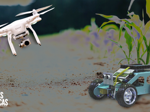Agricultura Cognitiva