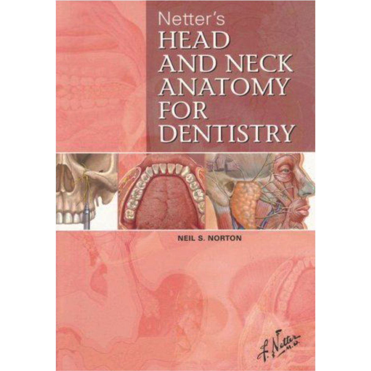 0127 - Netter's Head and Neck Anatomy for Dentistry - Neil S. Norton - -ª ed