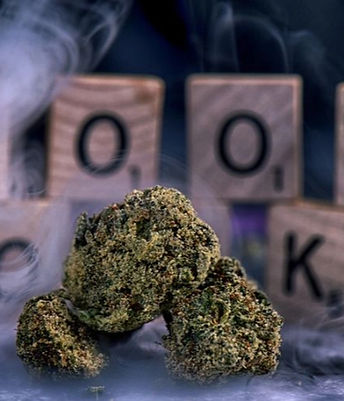 MoonRock _edited.jpg