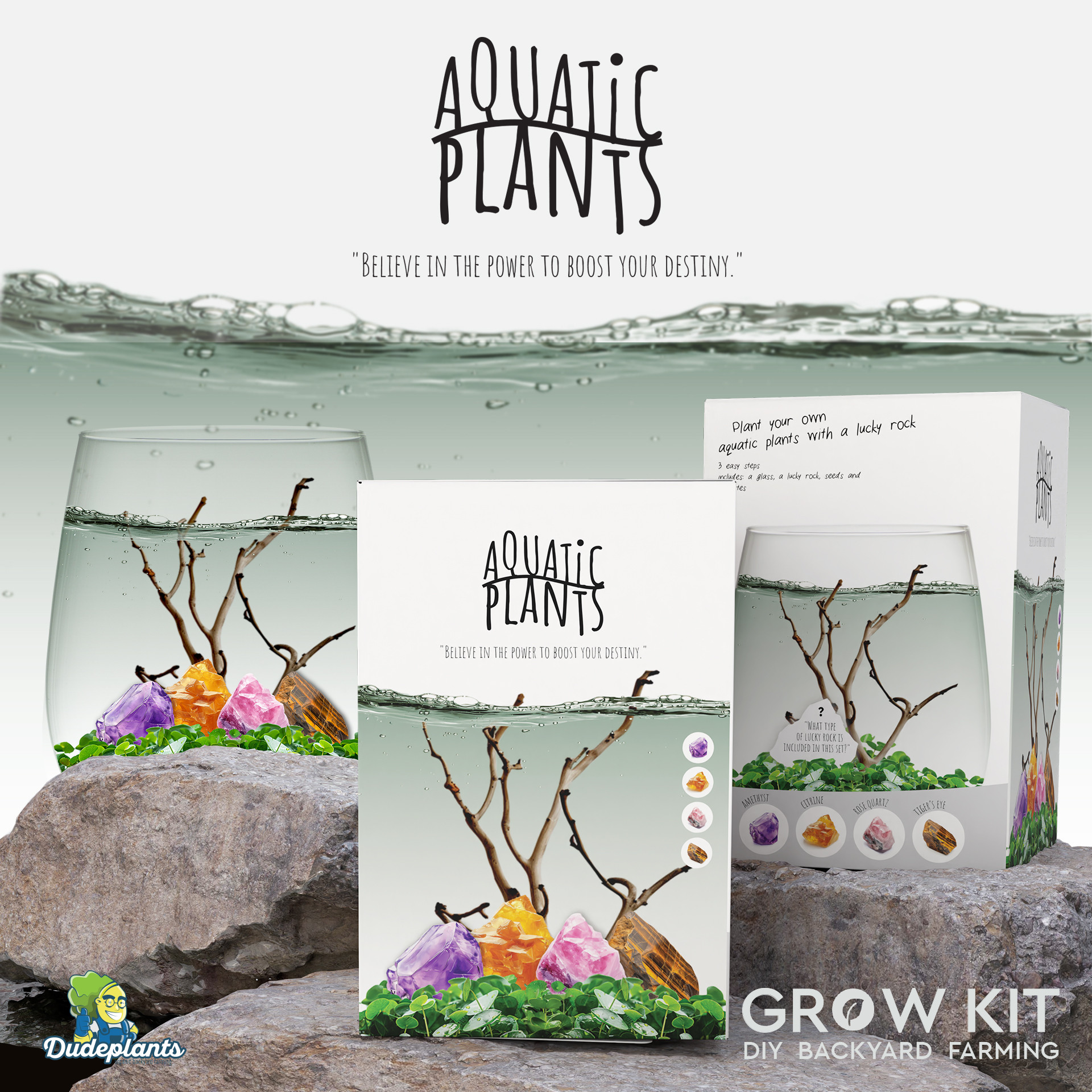 Aquatic Plants: Lucky Stone