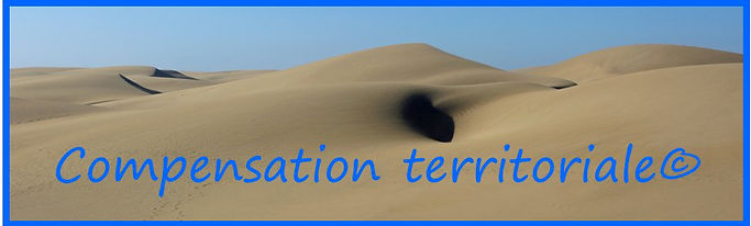 Logo Compensation territoriale.jpg