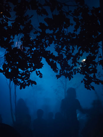 Escenografia musical Les Bèsties, companyia Altreatre