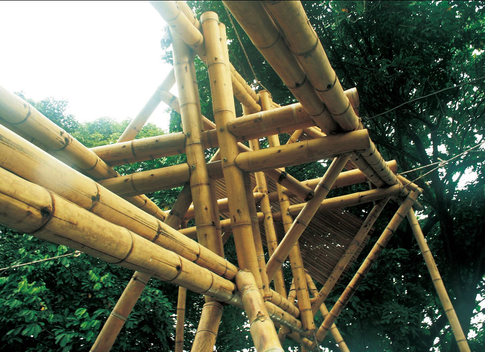 Bamboo Skyscraper