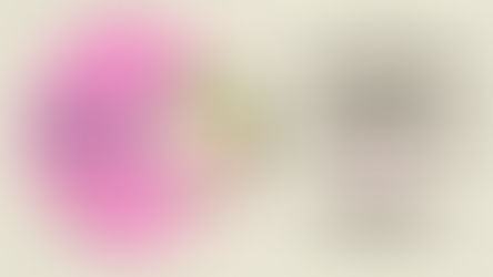 Juernes de Bendición | 1 & 2 Corintios 