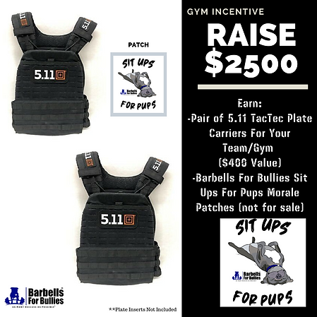sit ups for pups gym incentive 2500 (2).
