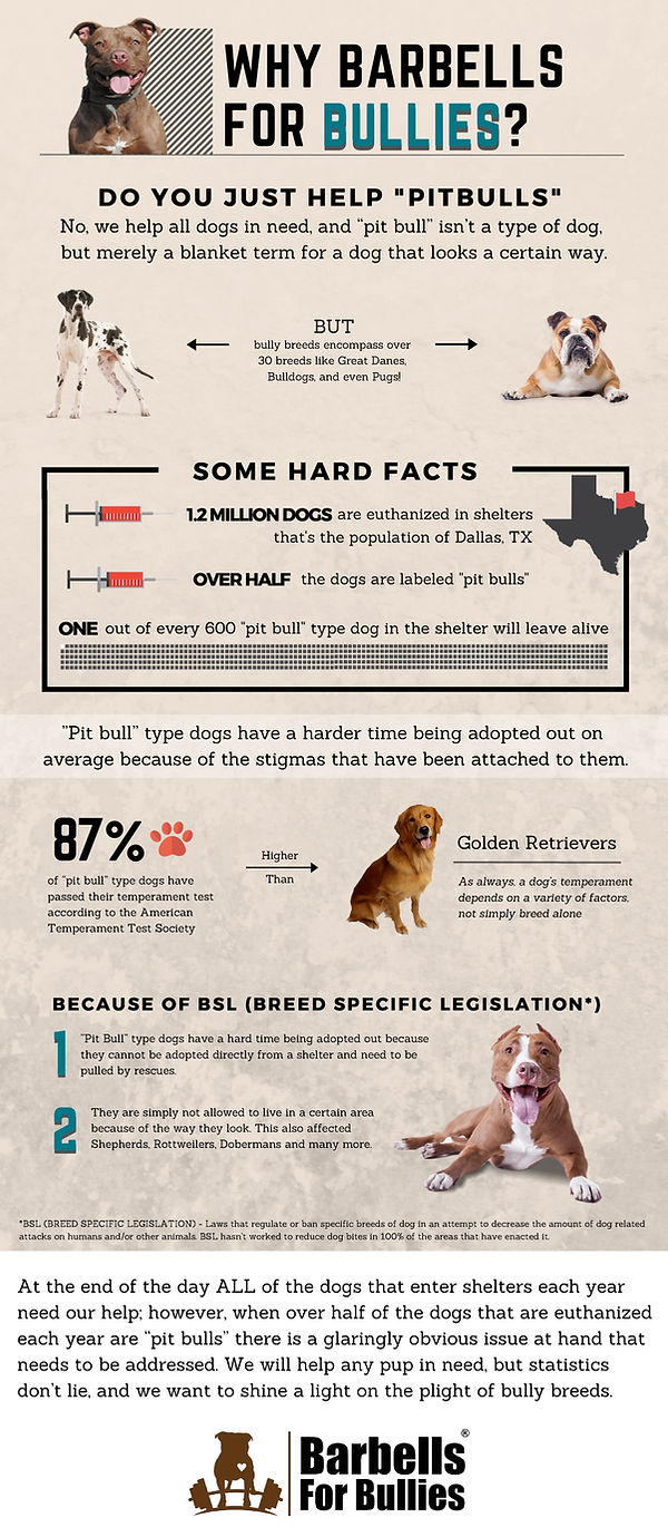 Barbells_infographic_v2.jpg