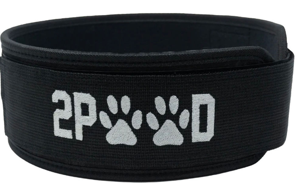 Thumbnail: Barbells For Bullies x 2POOD Belt- Pittie Sunglasses