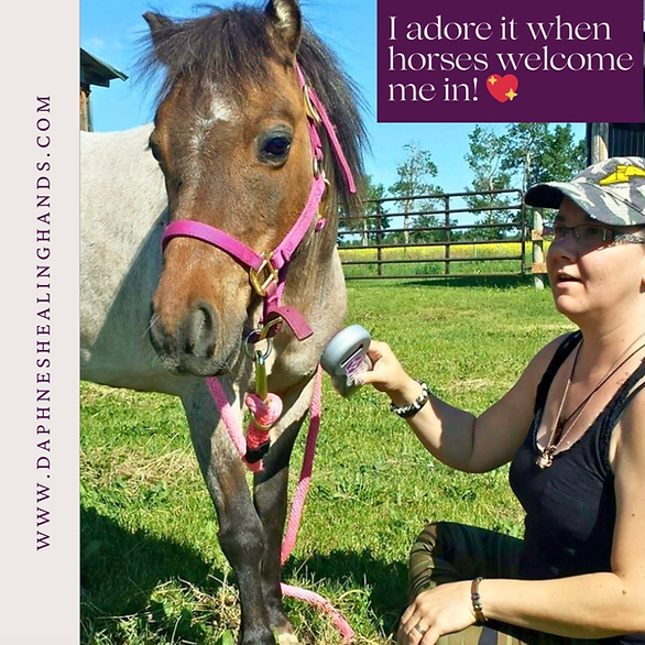 Daphne's Healing Hands Animal Energy Therapy