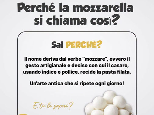 Perché si chiama Mozzarella?