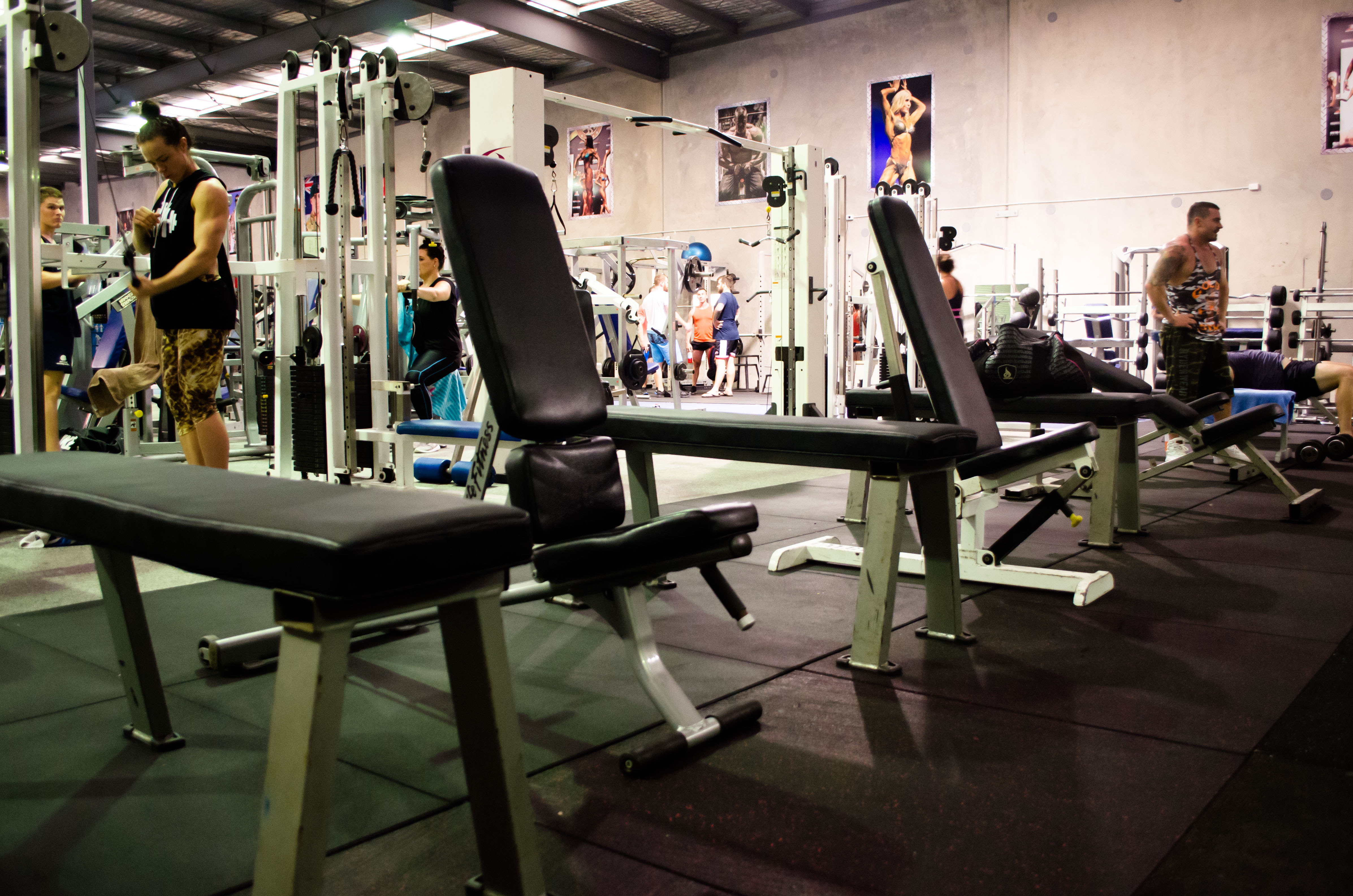 Strength And Power Gym Muscle Hut Queensland