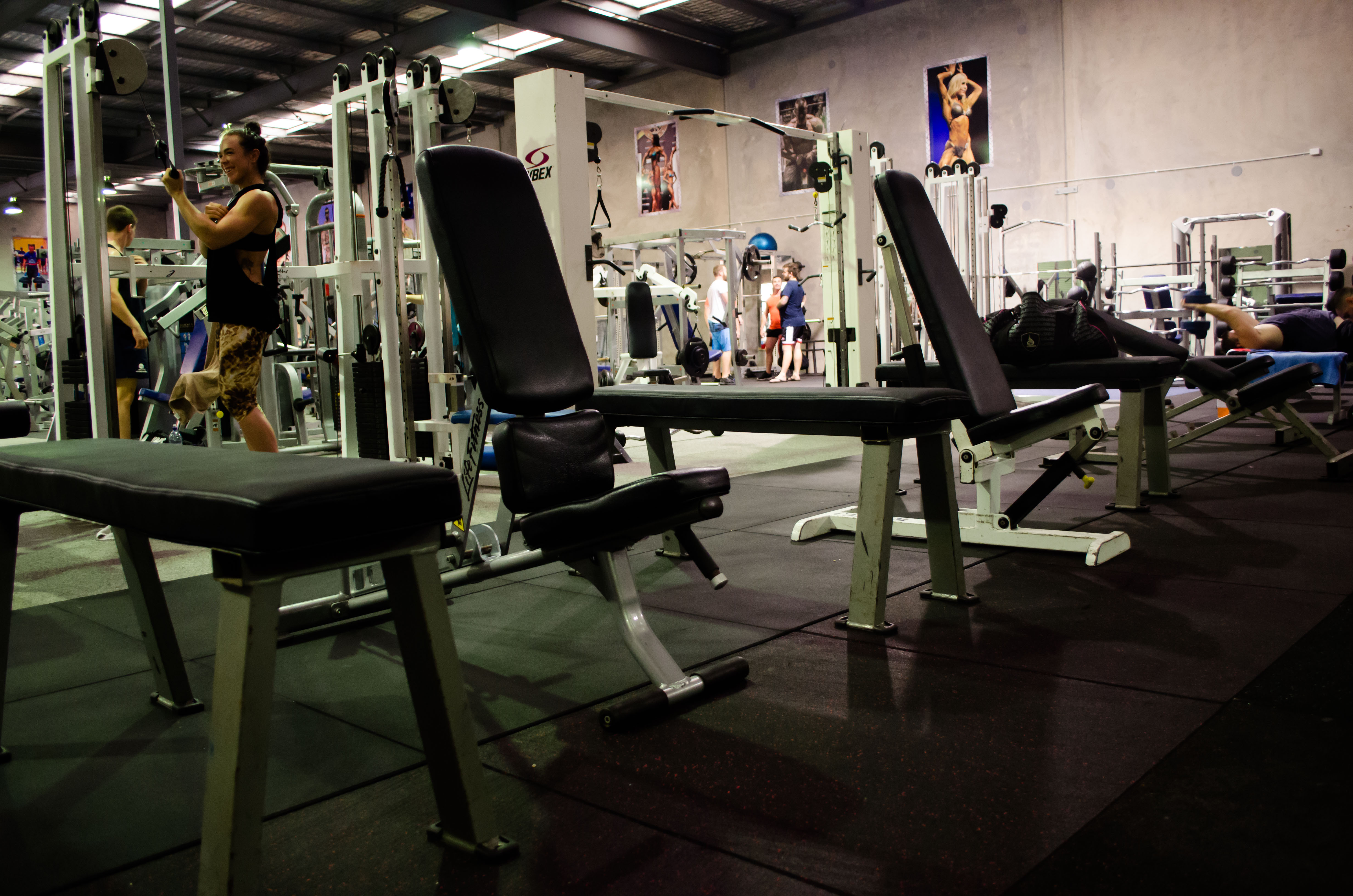 Strength And Power Gym Muscle Hut Queensland