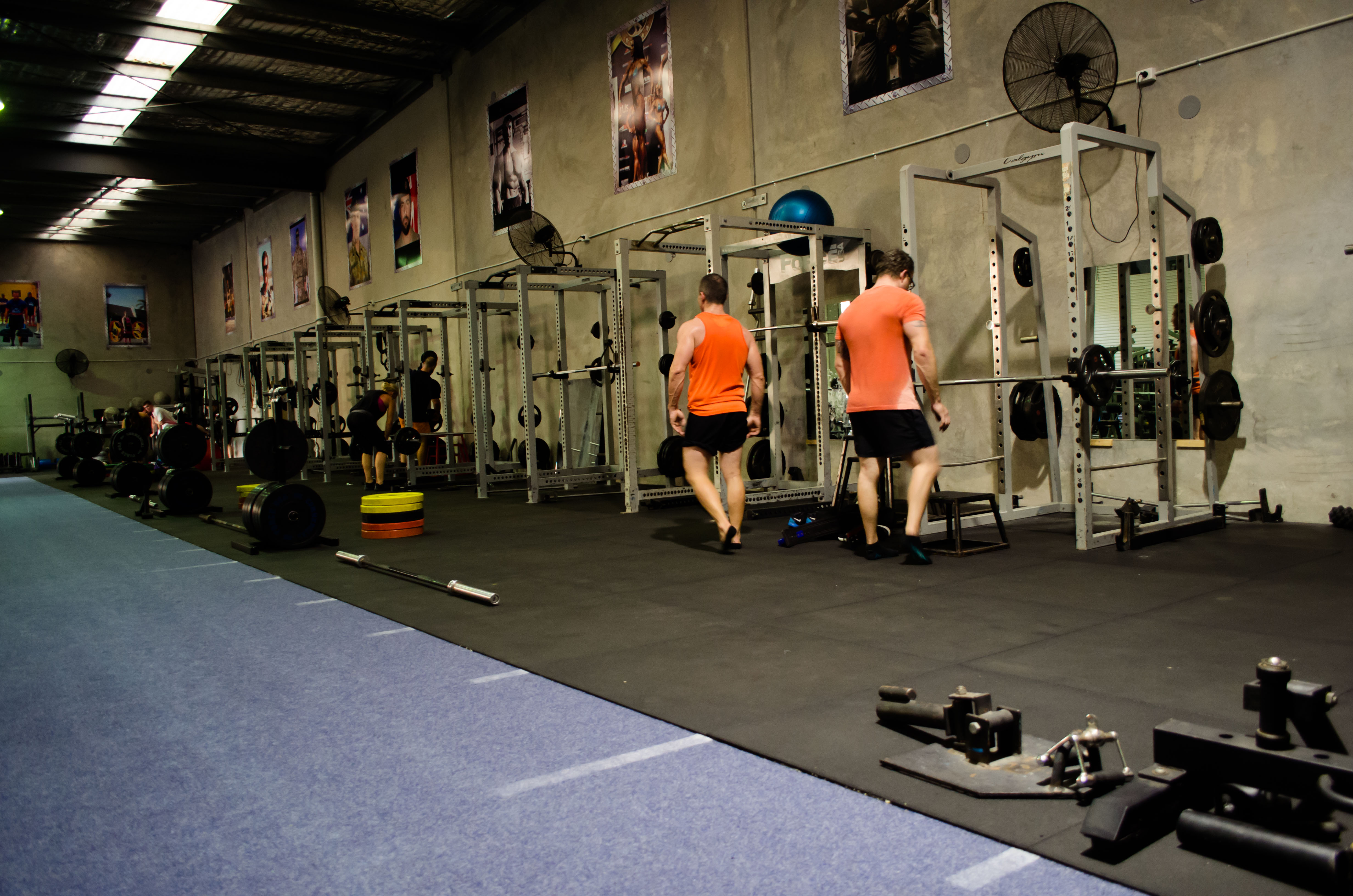 Strength And Power Gym Muscle Hut Queensland