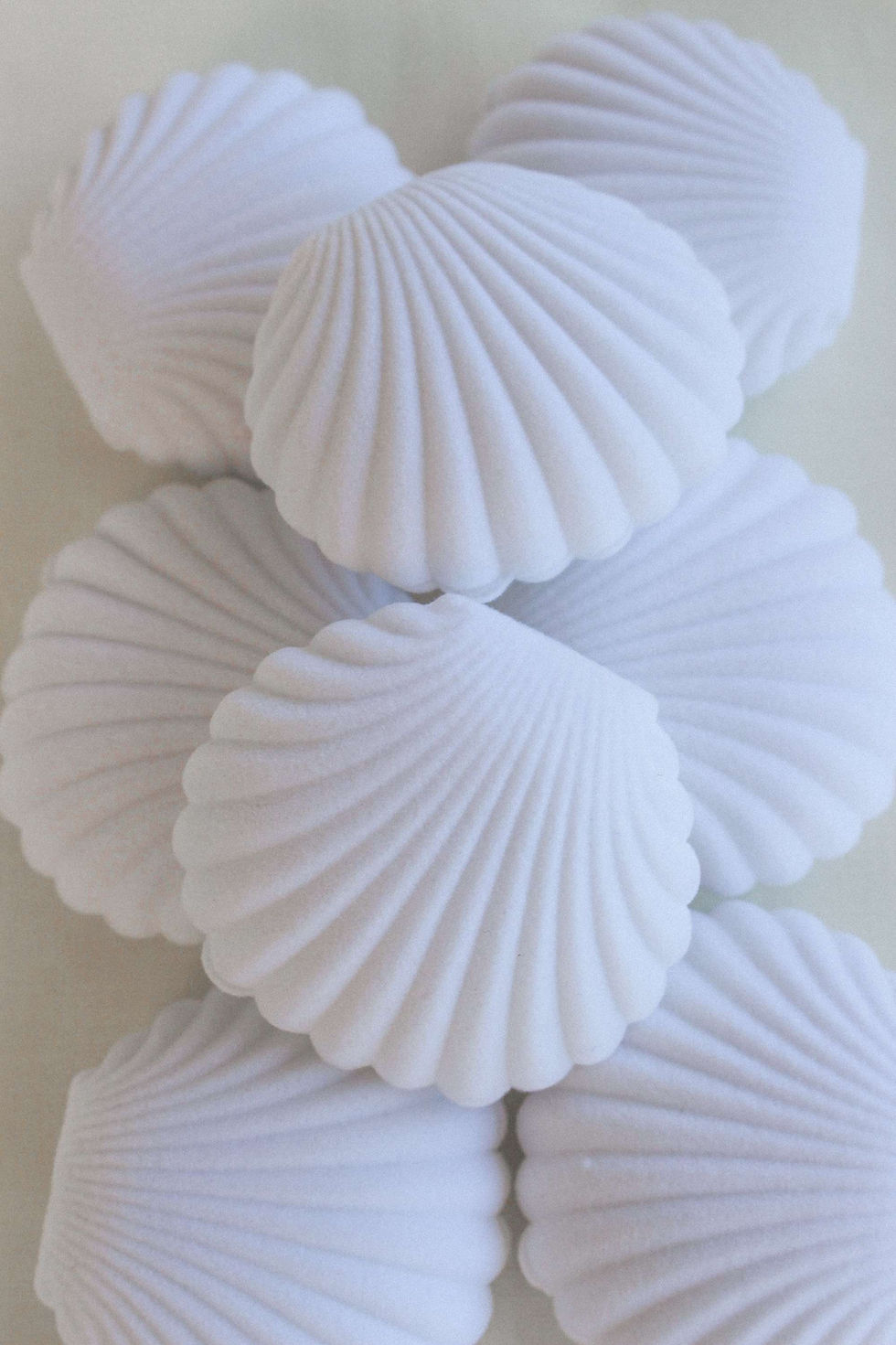 Thumbnail: shell jewelry box