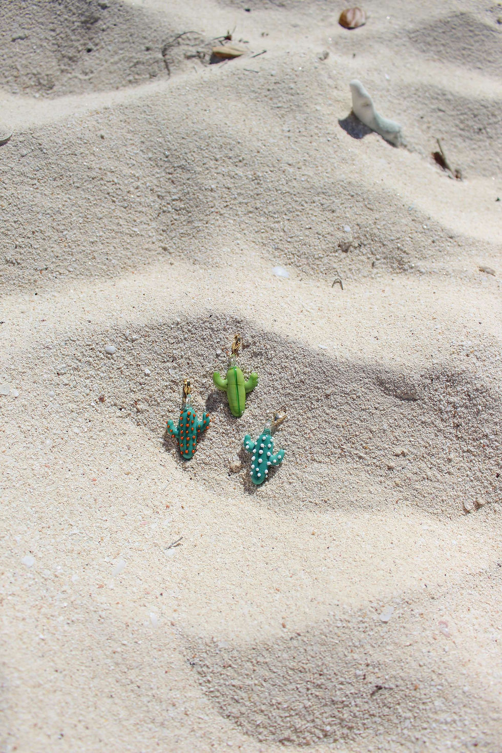 Thumbnail: Charm cactus