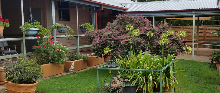 Gardens next to Fairfax wing