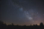 low-angle-view-silhouette-trees-against-sky-night (1).jpg