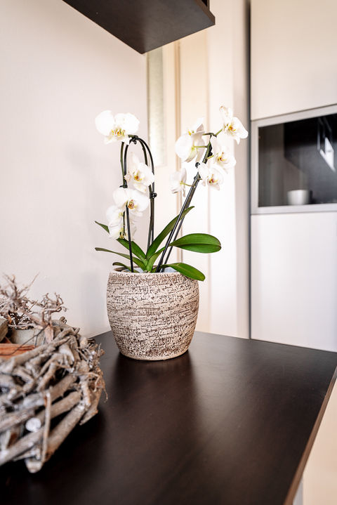 Gaby Tax-Portraits Praxis_bearbeitet_2022-05-10-00550.jpg