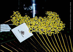 NECK PIECE - DUABA SERWAA b - Copy.JPG