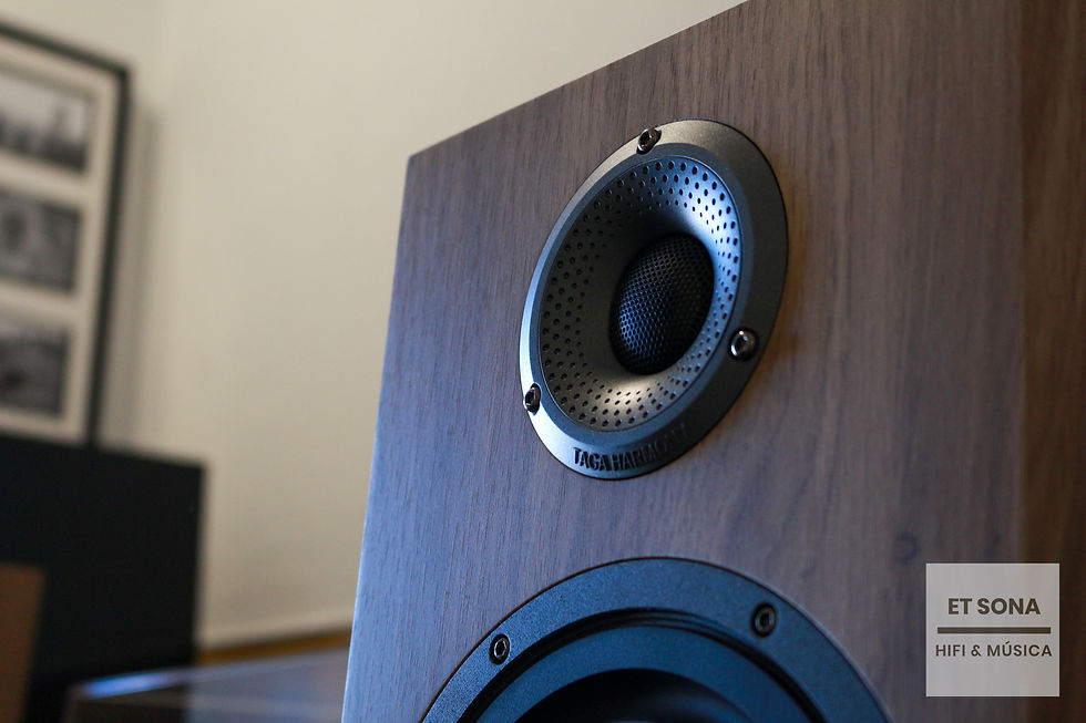 Taga Platinum B40 v.4