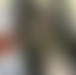 Final Touch Audio - Thebe RCA