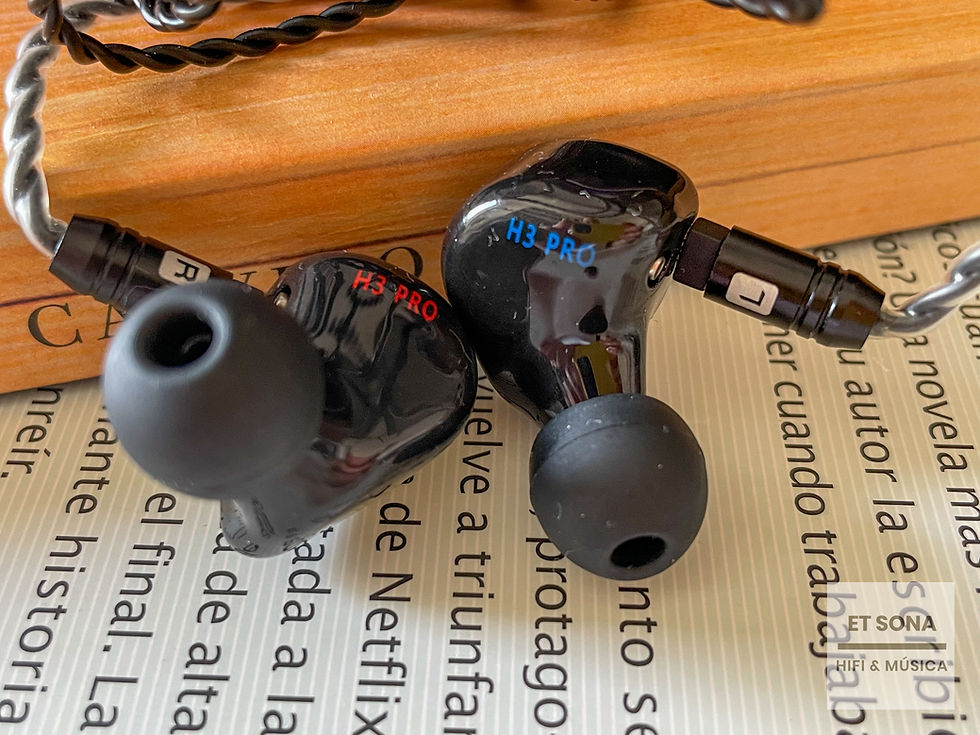 Custom Art H3-Pro