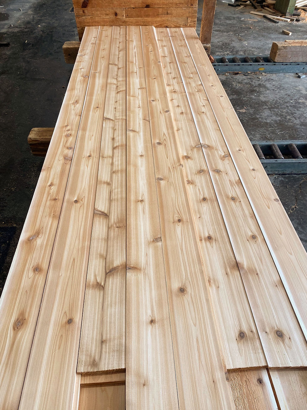 Thumbnail: Cedar Shiplap Siding