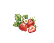 Menu brunch printemps 26 (1)_edited.jpg