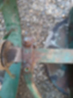 IMG_20250909_200255_938-CN-Trolley