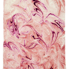 untitled image