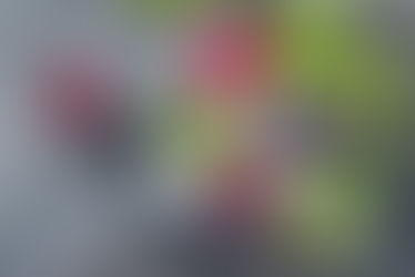 Fruit Flavoured Ice Cubes