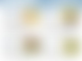 Fun Facts: Sunflowers