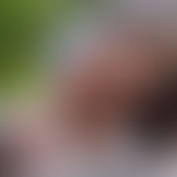 National Cancer Wellness Awareness Day