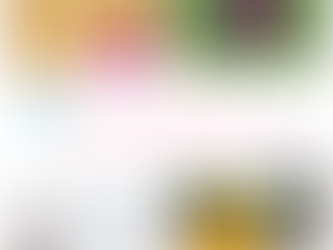 Fun Facts: Butterflies