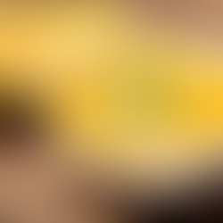 Butternut Squash Soup