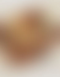 Cinnamon Raisin French Toast